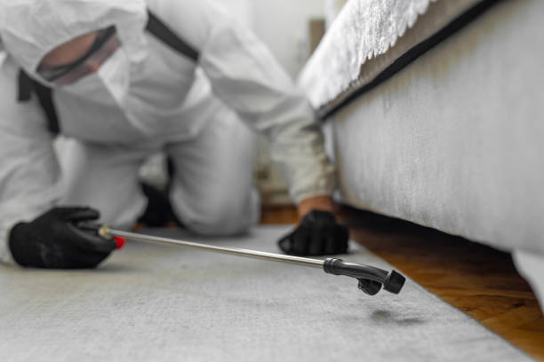 Professional Ant Control technician working in Palm Valley, TX